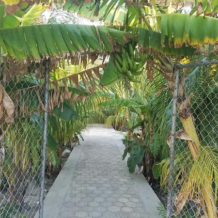 Auberge Pont-Gaudin Gonaives Eksteriør billede