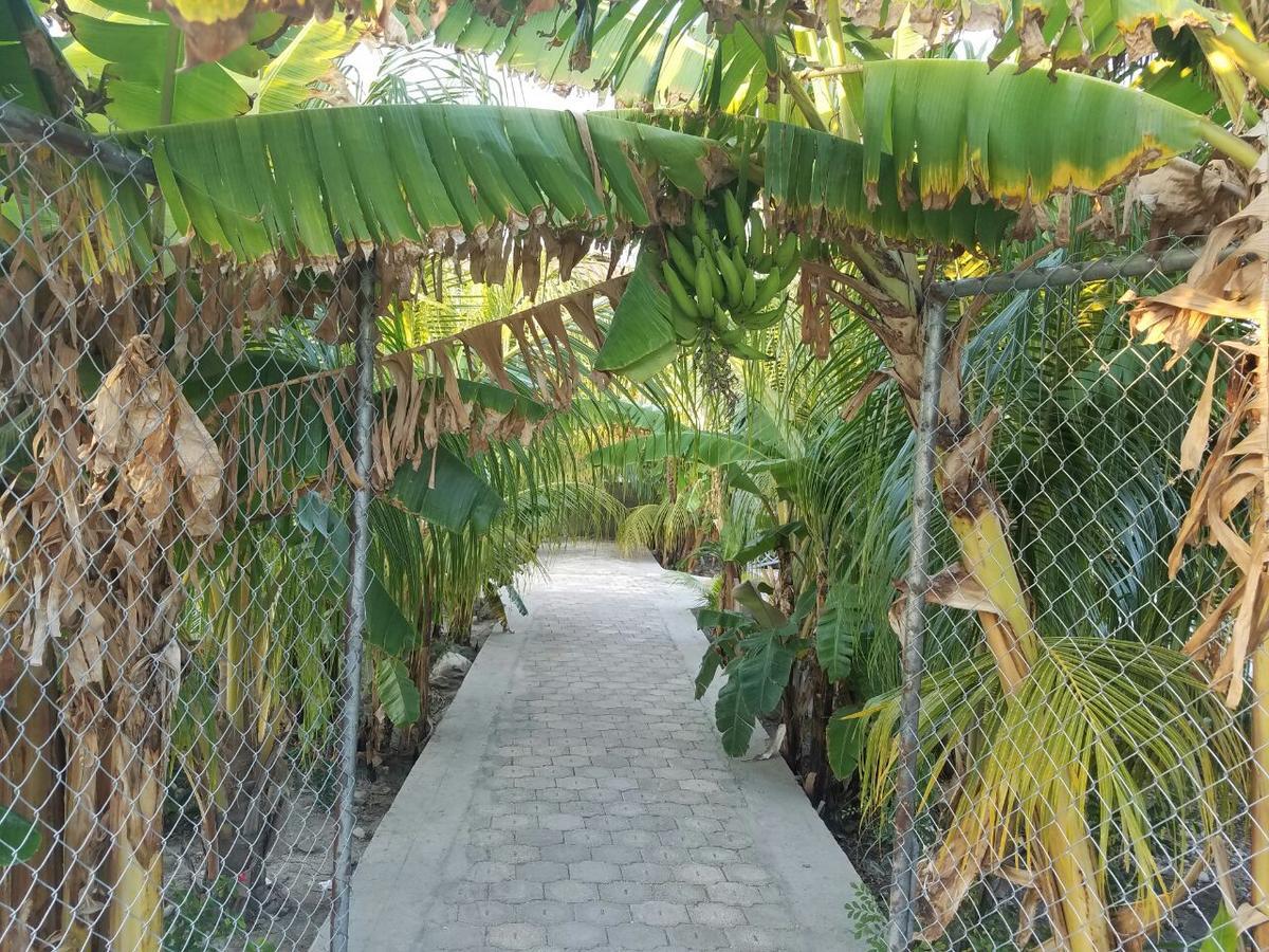 Auberge Pont-Gaudin Gonaives Eksteriør billede